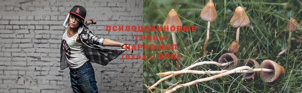 ГАЛЛЮЦИНОГЕННЫЕ ГРИБЫ Арсеньев