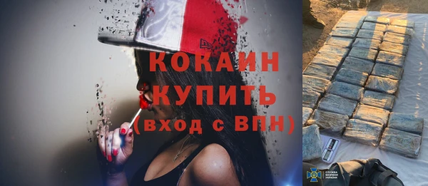ГАЛЛЮЦИНОГЕННЫЕ ГРИБЫ Арсеньев